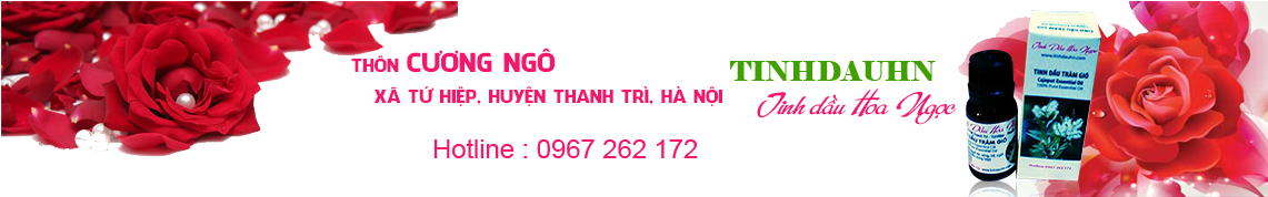 http://www.tinhdauhn.com