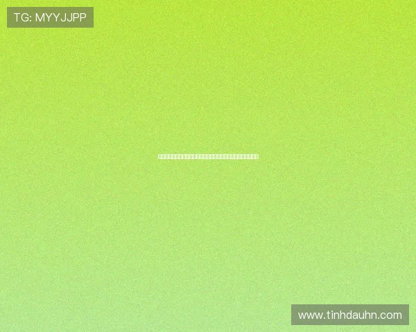 快速安全的真人视讯官方网登录线路为玩家提供更流畅的游戏环境